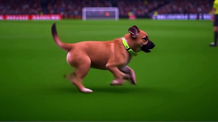 Underdogs unleashed! How Battersea rescue mutts staged a pitch invasion in a live video game