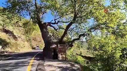 Türkiye'nin 3 asırlık tarihi: Osmanlı'yı da gördü Cumhuriyet'in ilanı da!