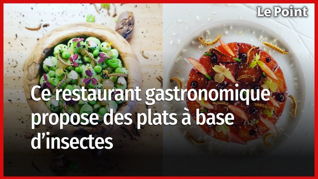 Ce restaurant gastronomique propose des plats à base d'insectes