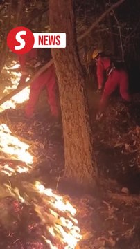 South Korea says wildfire in Daegu mostly contained