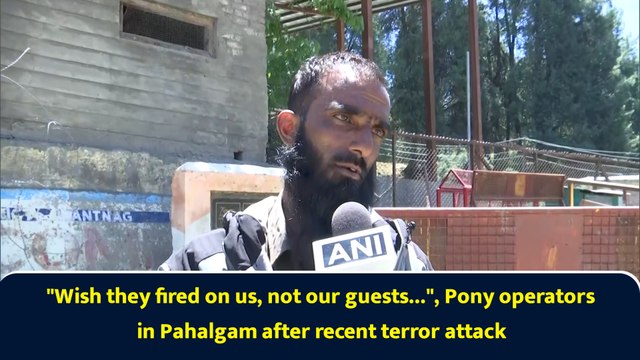 Wish they fired on us, not our guests... , Pony operators in Pahalgam after recent terror attack