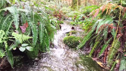 😯Quanto E' Importante Lo Zoom In Un Drone? 🚁- Carretera El Gumio |#10-Parte 2|