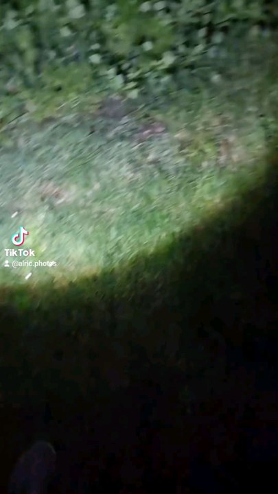🧳 Roadtrip en Indre • J5 (E3) • Exploration du jardin de nuit | Dernier jour ■ END