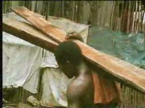 Junior -las catas-vola