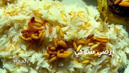 أرضي شوكي