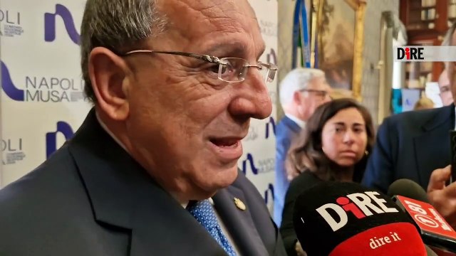 Napoli - SICUREZZA. PREFETTO NAPOLI: DARE ESEMPIO DI SQUADRA STATO (28.04.25)