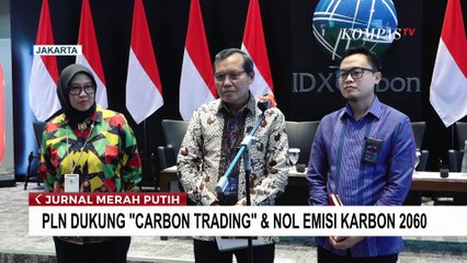 PLN Nusantara Power Aktif di Bursa Karbon Indonesia, Dukung Target Nol Emisi 2060