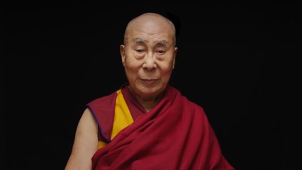 Descubre la Sabiduría y la Felicidad en este Inspirador Tráiler ✨