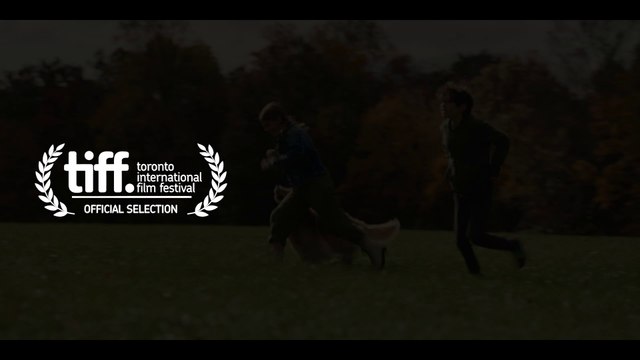 Una función inesperada Tráiler