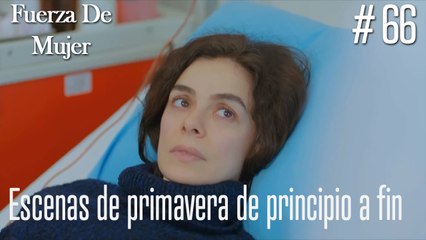 Escenas de primavera de principio a fin