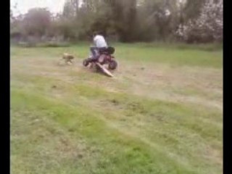 jean louis et son tracteur tondeuse