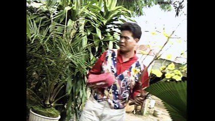 Tốp Ca Kim Lợi - Xuân gọi [OFFICIAL MV] [4K HD REMASTERED]