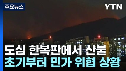 '도심 산불' 아파트 턱밑까지...대형 참사로 이어질 뻔 / YTN
