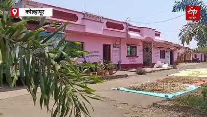 काय आहे कोल्हापूरच्या शेळकेवाडी या गुलाबी गावाची गोष्ट? जाणून घ्या विशेष वृ्त्तांत