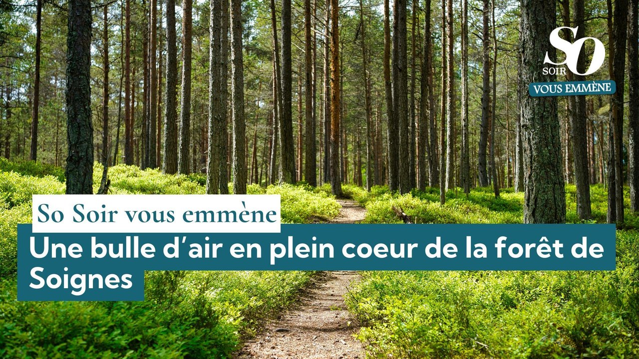 So Soir vous emmène : une bulle d’air en plein coeur de la forêt de Soignes