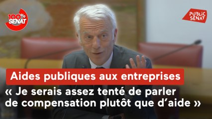 100% Sénat - Aides publiques aux entreprises : audition du président du MEDEF