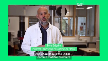 Un professeur transforme les coquilles d'huîtres en béton écologique