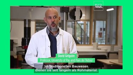 Treffen Sie den französischen Professor, der Austernschalen in Ökobeton verwandelt