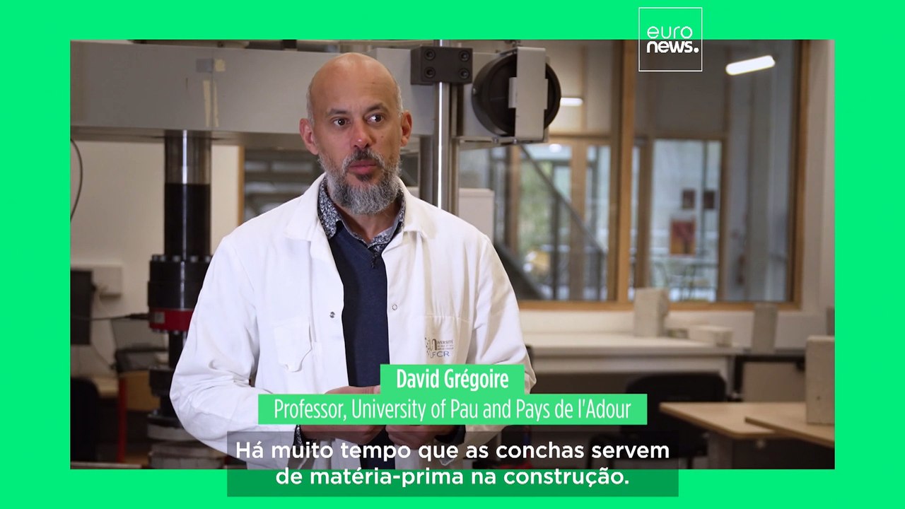 Conheça o professor francês que transforma conchas de ostras em betão ecológico