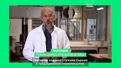 Как французский профессор превращает устричные раковины в строительный материал