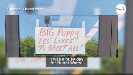 Dog lover can't believe her eyes when she sees this sign on a shop door