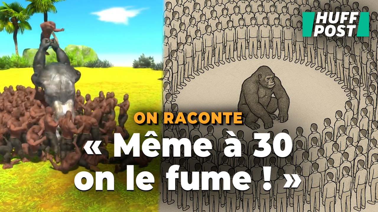 Qui gagne entre un gorille et cent humains, le débat délirant qui divise internet