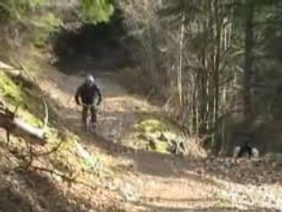 valentin birant ( freeride)