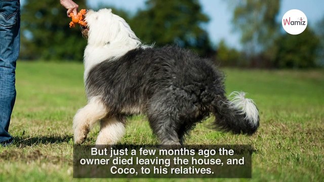 Family shocked when they discover what their neighbours have on their balcony