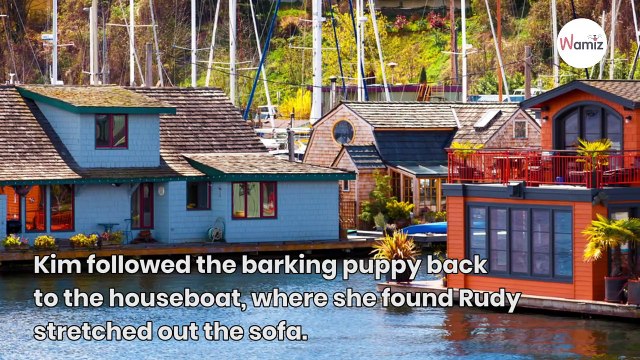 After weeks in hospital, elderly man reunites with the dog who saved his life