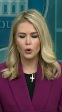 Immigrants involved in Heinous acts Terrorizing law abiding American Citizens are Deported - Karoline Leavitt