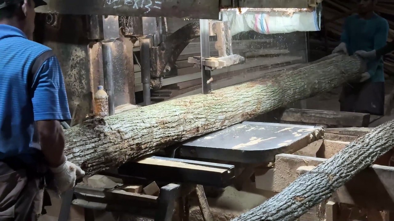 Tips for Cutting Wood for Home Construction