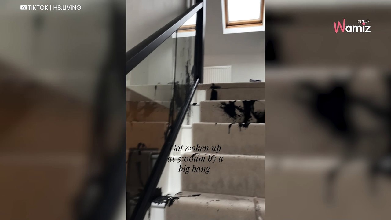 Woman hears loud bang at 5am: What she discovers leaves millions of people stunned