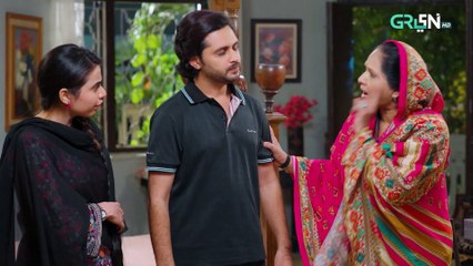 Na Tum Jano Na Hum Episode 20 (Subtitle) 29th April 2025   Hassan Khan - Hina Tariq   Green TV