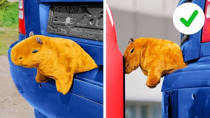 Cool Car hacks and Crafts you need to know to be an Excellent Driver