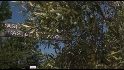 Oasi affiliata WWF di Castel Romano, oggi il primo anniversario