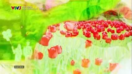 CUỘC SỐNG RỰC RỠ - TẬP 56 - VTV3 THUYẾT MINH - PHIM HÀN QUỐC - CUOC SONG RUC RO