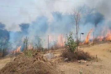 भीषण आग से मचा हड़कंप, फसलों की चिंता में जुटे लोग