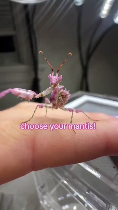 Beautiful,  Thank You