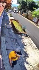 Captan a hondureño robando en El Salvador