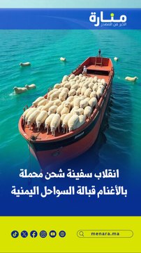 انقلاب سفينة شحن محملة بالأغنام قبالة السواحل اليمنية