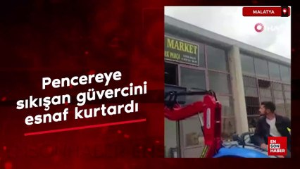 Malatya’da pencereye sıkışan güvercini esnaf kurtardı