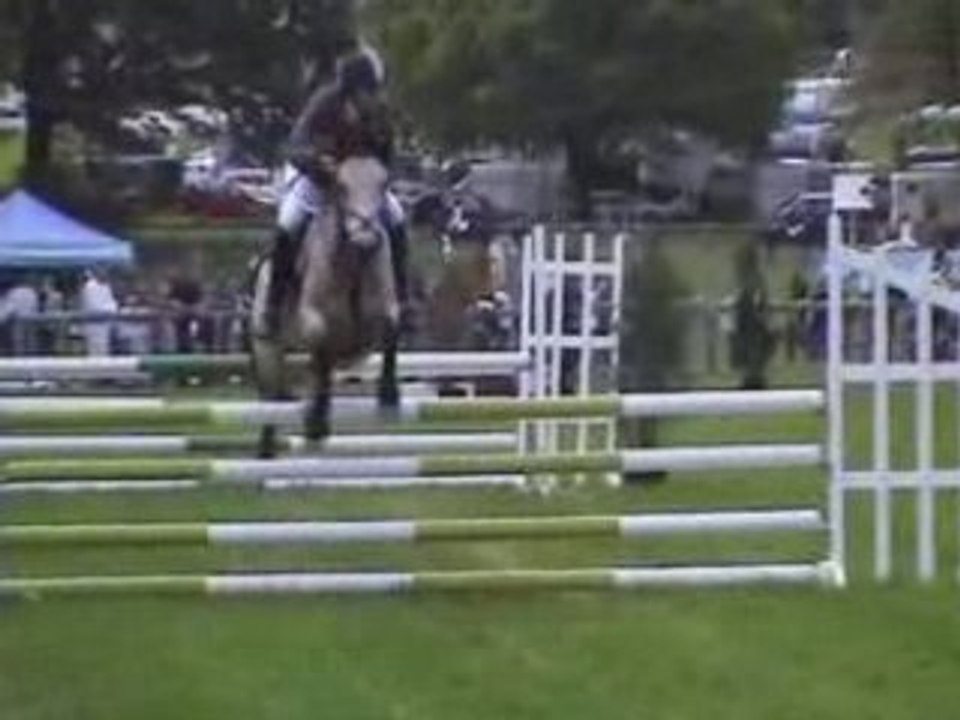 Chateaubriant-D3P-Native de St Fray