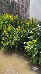 Brescia - A partire dal 1° maggio la lavorazione del ferro (29.04.25)