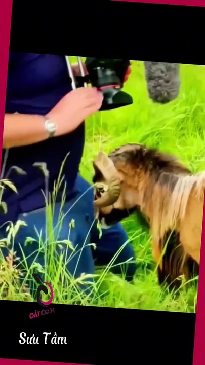 Most funny fails Compilation of 2025 😵‍💫🤣