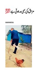 Funny Video Hen