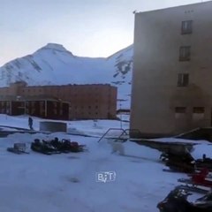 Türklere oturma izni verilen adada kutup ayısı saldırısı kamerada