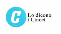 Lo dicono i Lincei - A chi fanno male i dazi di Trump?
