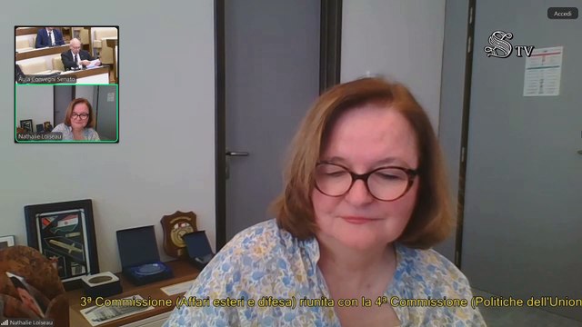 Roma -Ingerenze straniere nei processi democratici degli Stati membri dell’Unione europea e nei Paesi candidati (29.04.25)