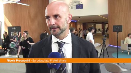 Ucraina, Procaccini "Incontro Trump-Zelensky positivo"