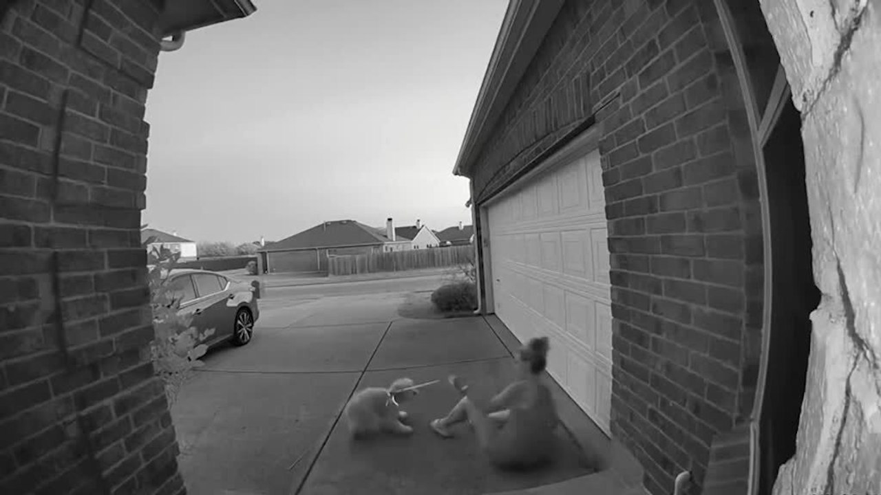 Woman Trips and Falls Against Excited Dog on Leash Going for Walk